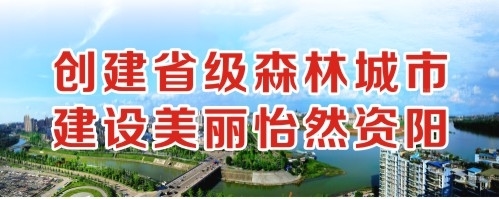 搞屄的黄色视频创建省级森林城市 建设美丽怡然资阳